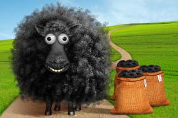 BaabaaBlackSheep